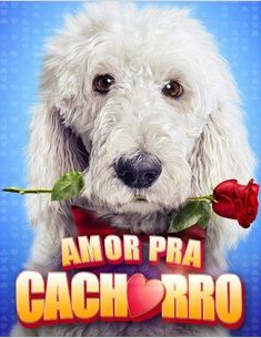Amor Pra Cachorro  (2014)