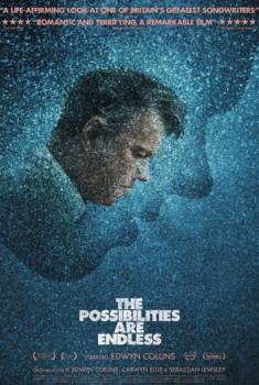  The Possibilities Are Endless  (2014)