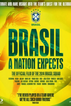 Brasil: A Nation Expects  (2014)