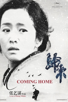 Voltando Para Casa  (2014)
