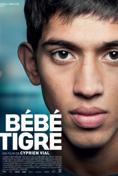 Jovem Tigre  (2014)