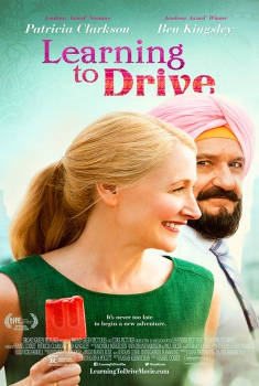 Learning to Drive  (2014)