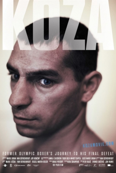 Koza (2015)